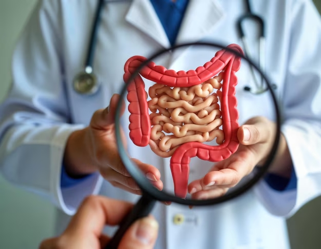 Imagem de médico ampliando ilustração de intestino com lupa.