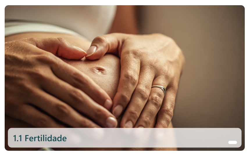 1.1 Fertilidade