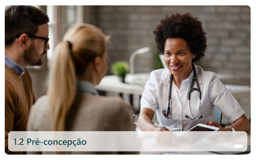 1.2 Pré-concepção