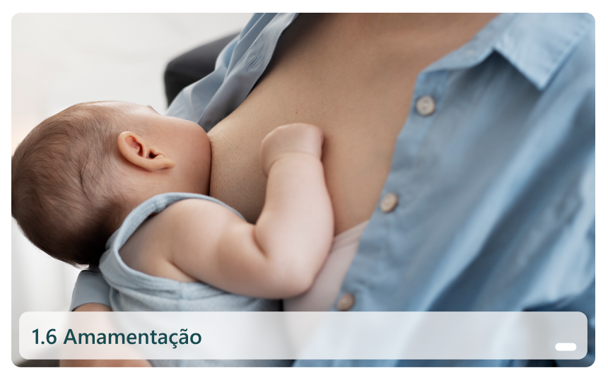 1.6 Amamentação