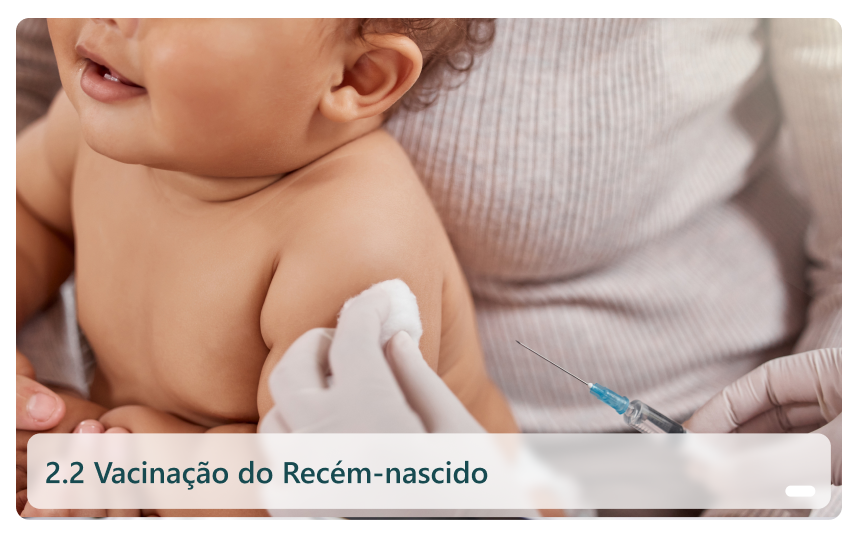 2.2 Vacinação do Recém-nascido