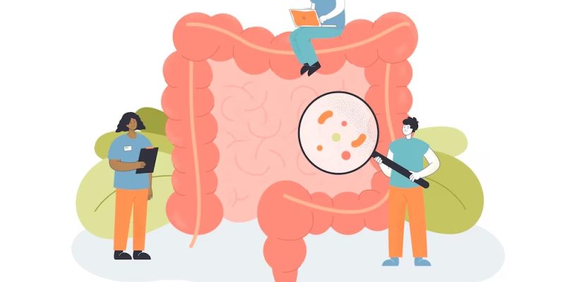 Imagem ilustrativa de pequenos médicos verificando o intestino.